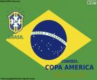 Brezilya Copa America 2019 yeni şampiyonu oldu. Brezilya Peru için finalde 3-1